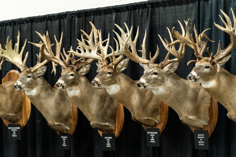 Trophies of Grace Display 2021