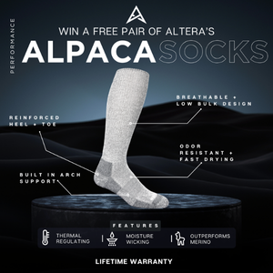 Untitled design (17)